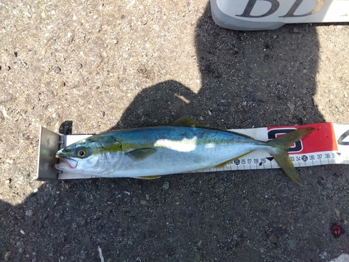 海の釣り堀センター