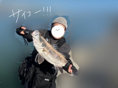 アカメの釣果