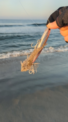 浜名湖