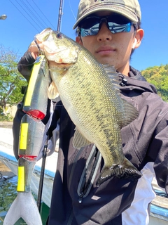 ブラックバスの釣果