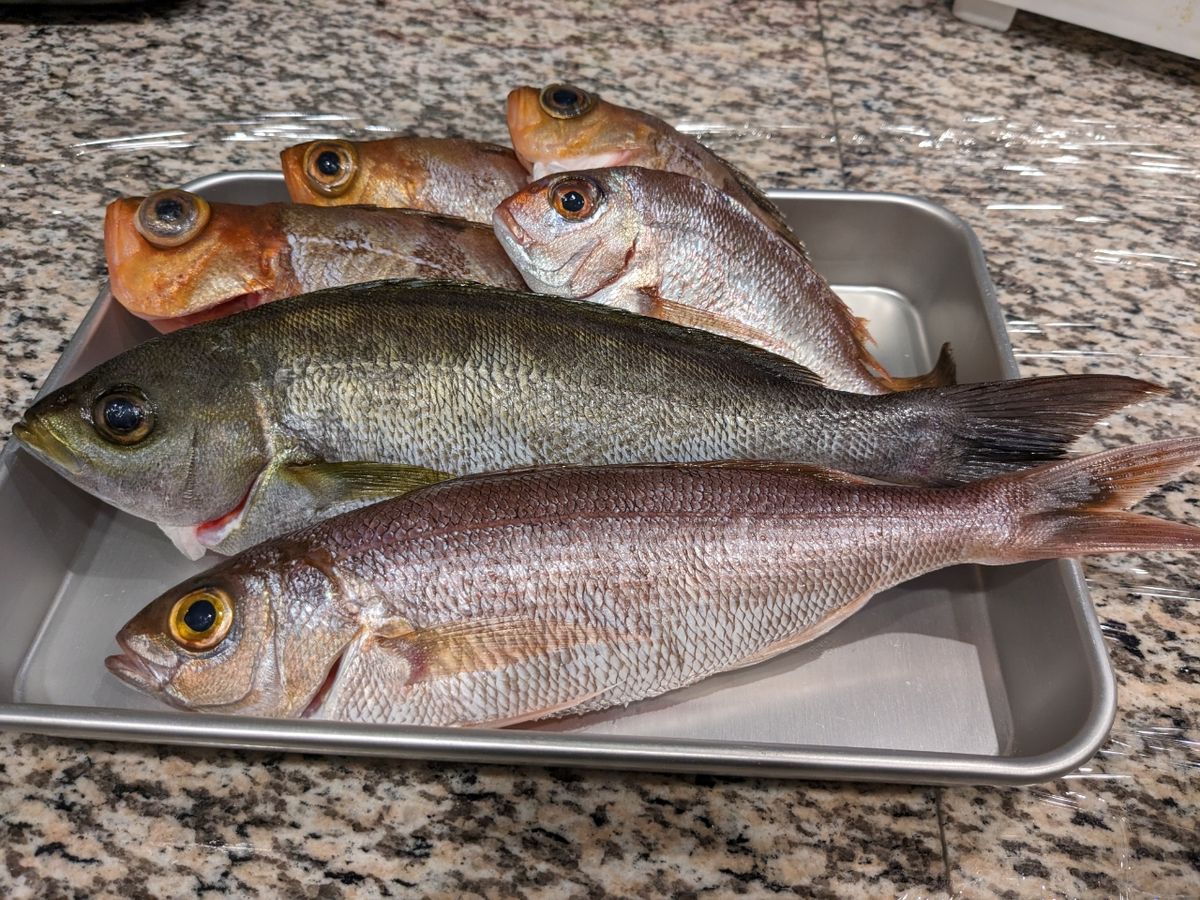 れおん555さんの釣果 2枚目の画像