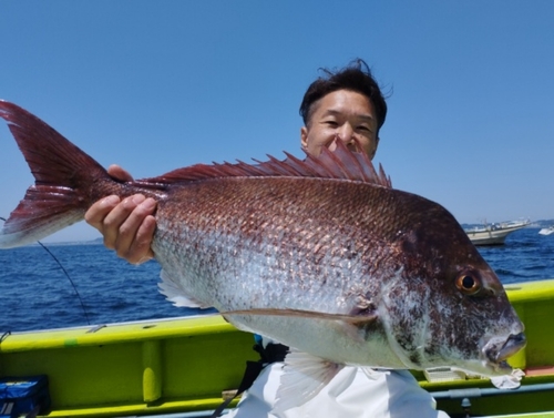 マダイの釣果