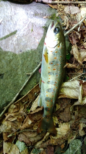 山梨県南部