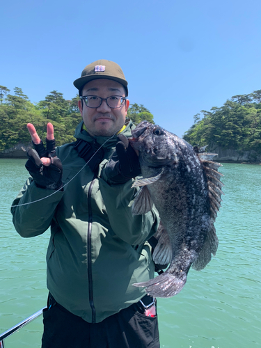 クロソイの釣果