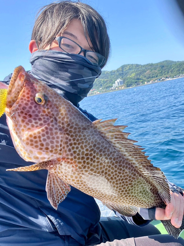 オオモンハタの釣果