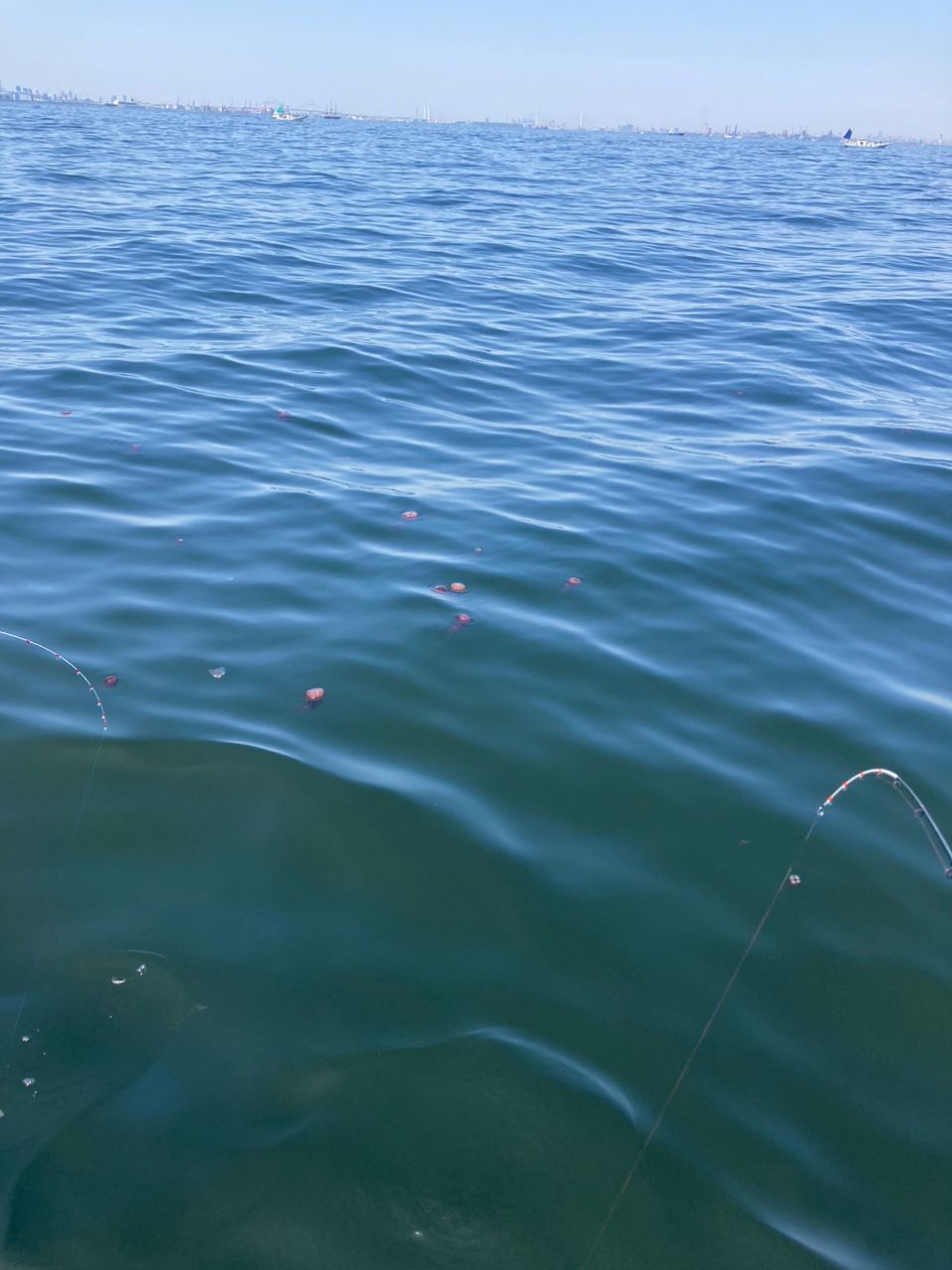 静秋さんの釣果 2枚目の画像