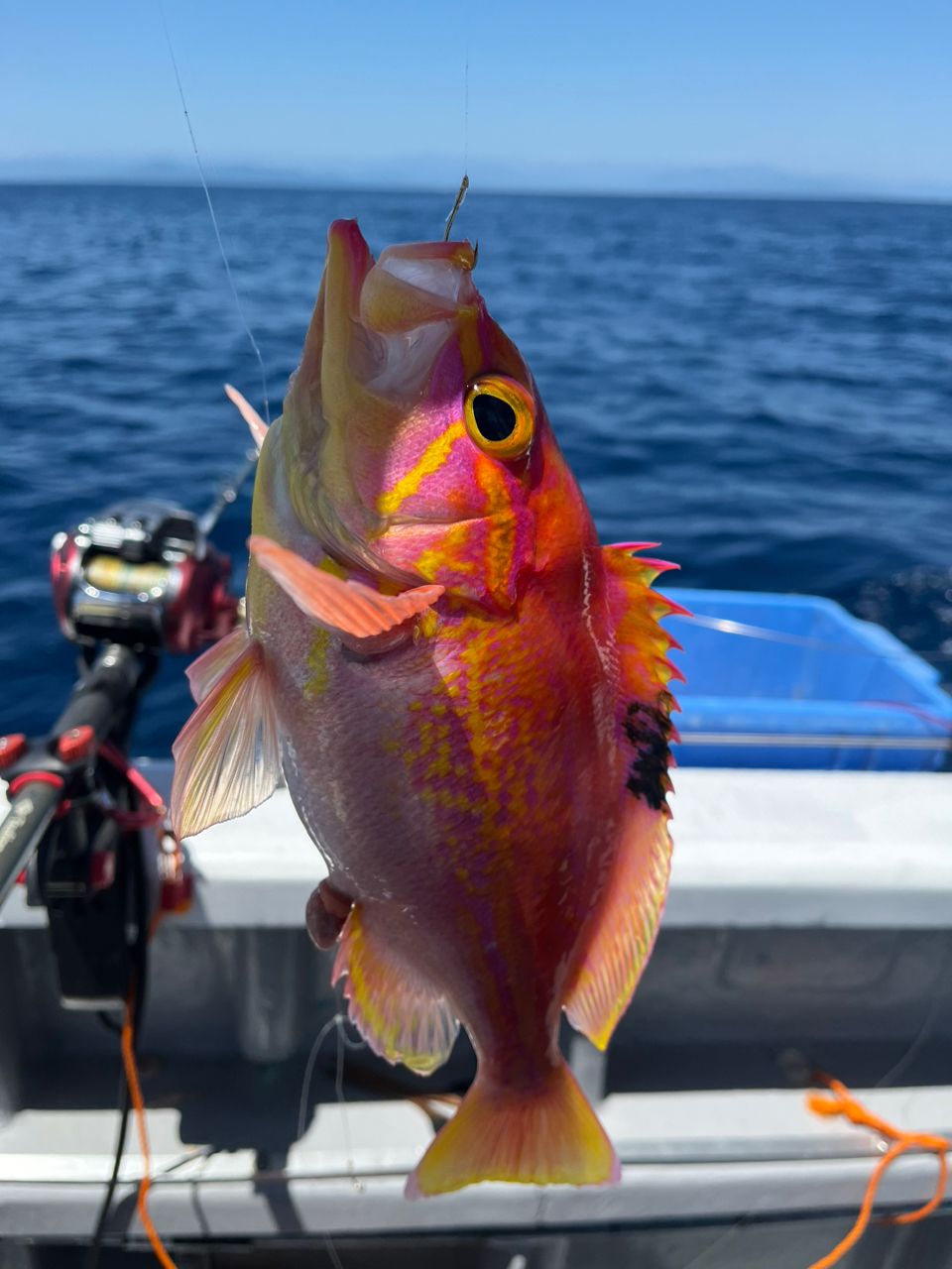 ロードグライダーさんの釣果 2枚目の画像