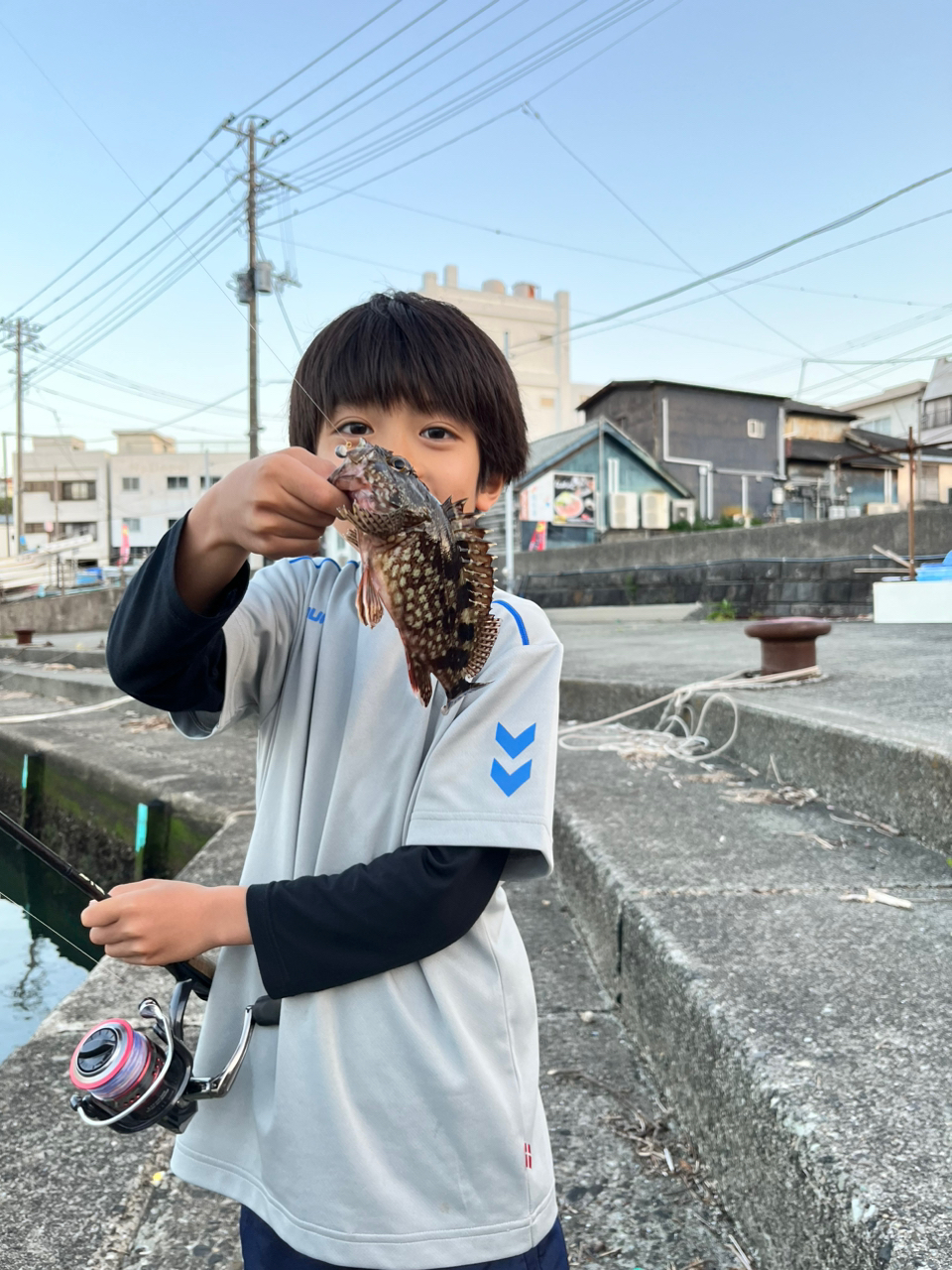 カサゴ