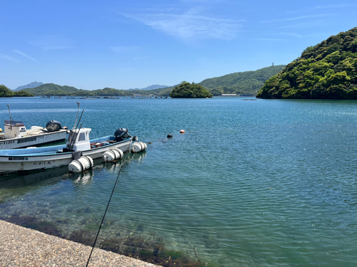 アカメバルの釣果