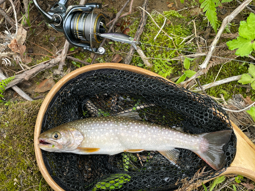 秋田県南部