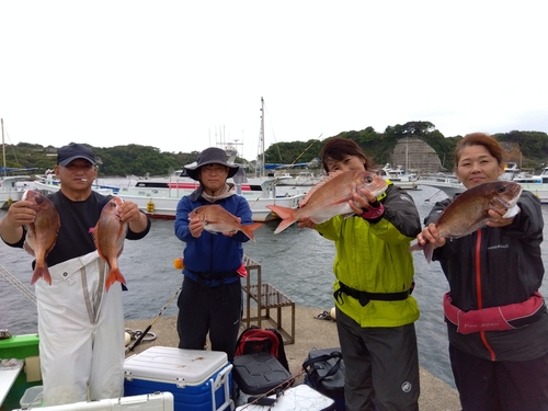 マダイの釣果