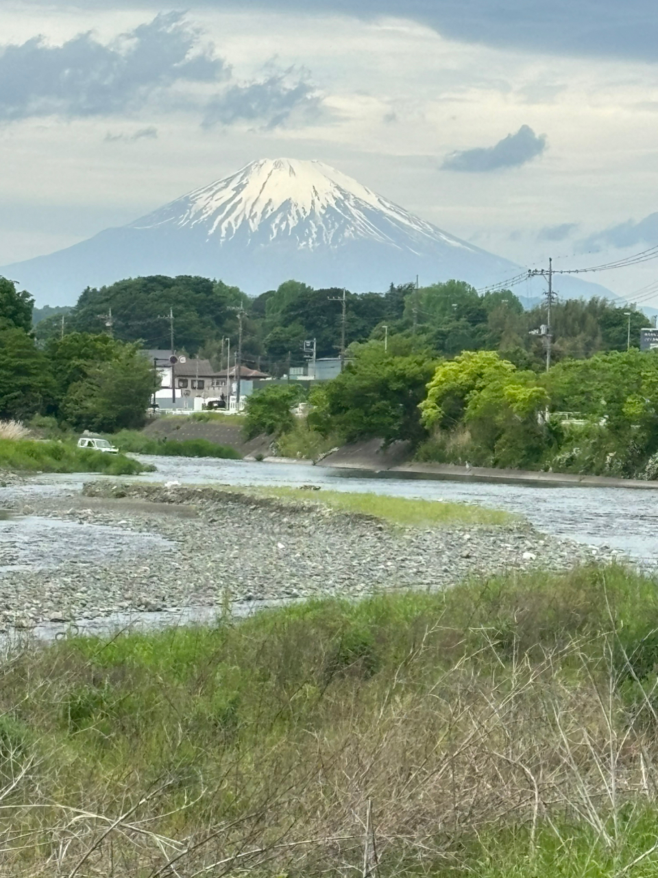 オイカワ