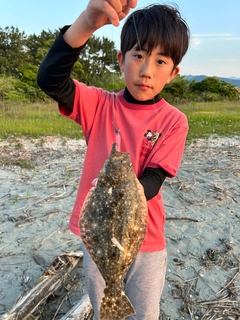 ヒラメの釣果