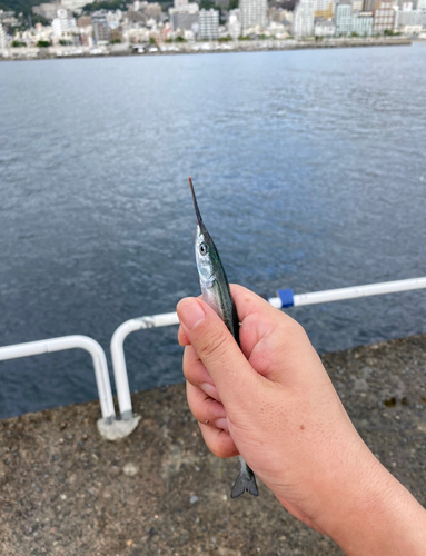 熱海港海釣り施設