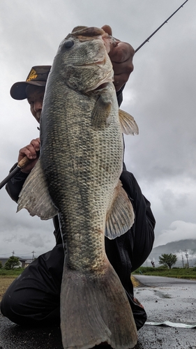 岐阜県南部