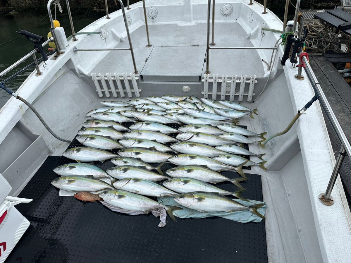 ヨースケさんの釣果 2枚目の画像