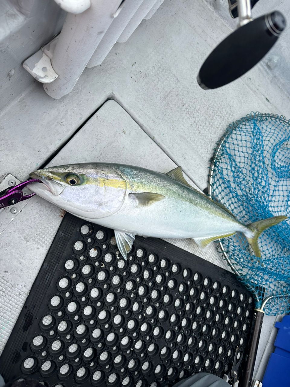 ヨースケさんの釣果 3枚目の画像