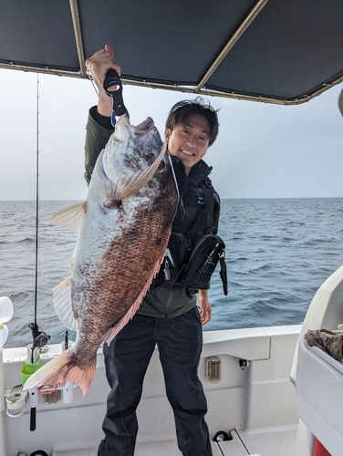 タイの釣果