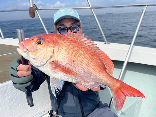 マダイの釣果