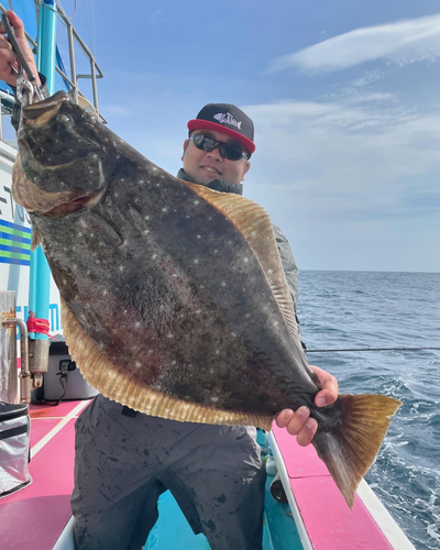 ヒラメの釣果