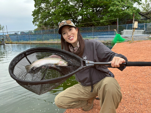 ニジマスの釣果