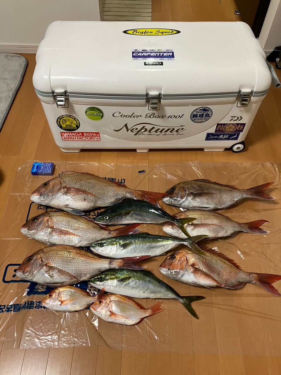 k-27さんの釣果 1枚目の画像
