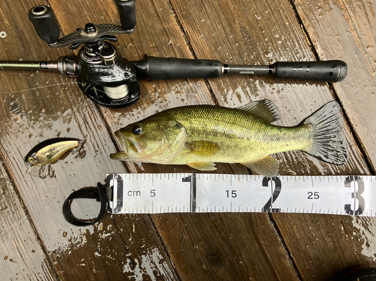 Megabass レヴァンテ JP F3-67LVの最安値・インプレ・釣果 Megabass レヴァンテ JP F3-67LVの最安値・インプレ・釣果