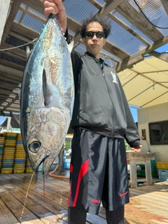 マグロの釣果