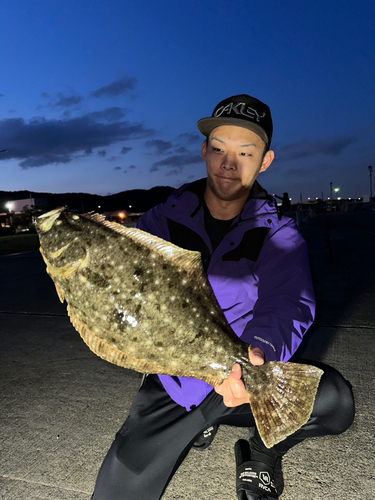 ヒラメの釣果