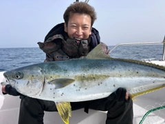 ヒラマサの釣果