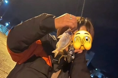 チャリコの釣果