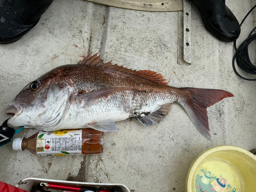 しまなみ海道