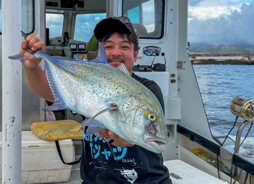 カスミアジの釣果