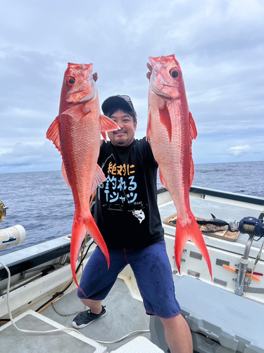 ハマダイの釣果