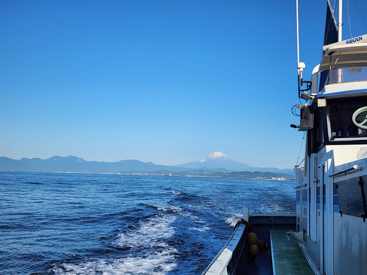 えいち3220さんの釣果 3枚目の画像