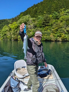 ヒメマスの釣果