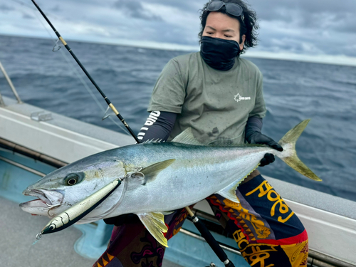 ヒラマサの釣果