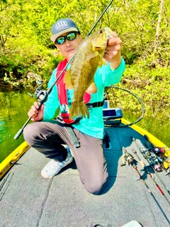 スモールマウスバスの釣果