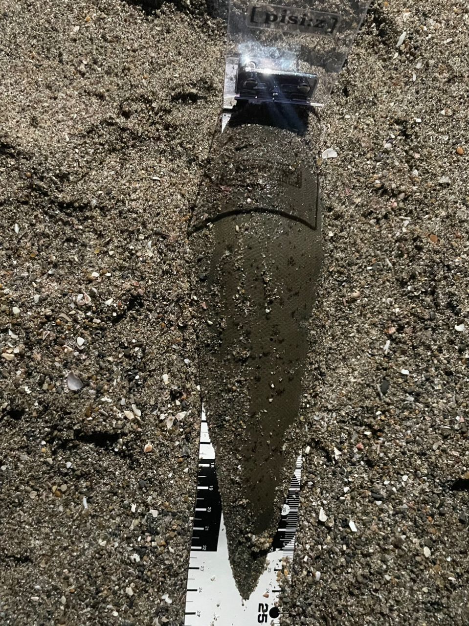 馬場翔大(日本さかな専門学校)さんの2024年05月10日(金)の釣行(神奈川県 三浦海岸) アングラーズ 釣果500万件の魚釣り