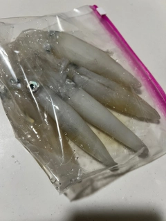 マメイカの釣果