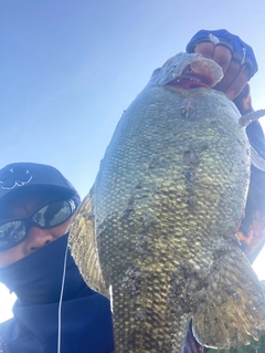 スモールマウスバスの釣果