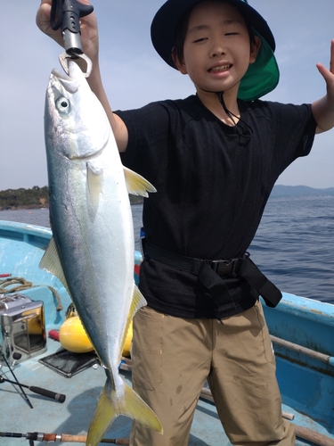 イナダの釣果