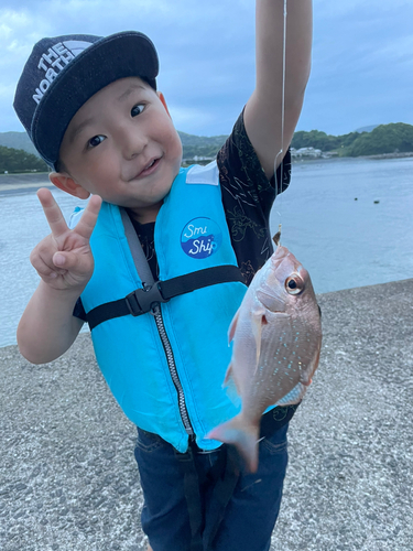 チャリコの釣果