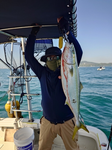 ハマチの釣果