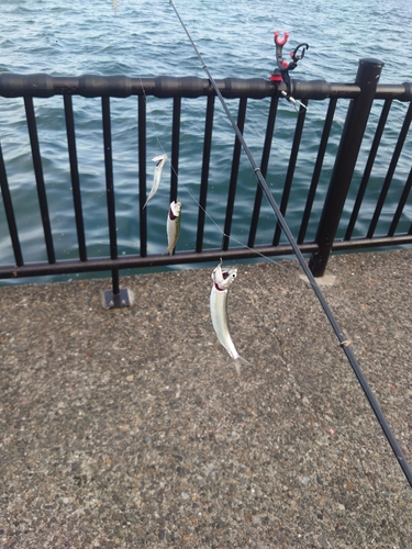 若洲海浜公園海釣り施設