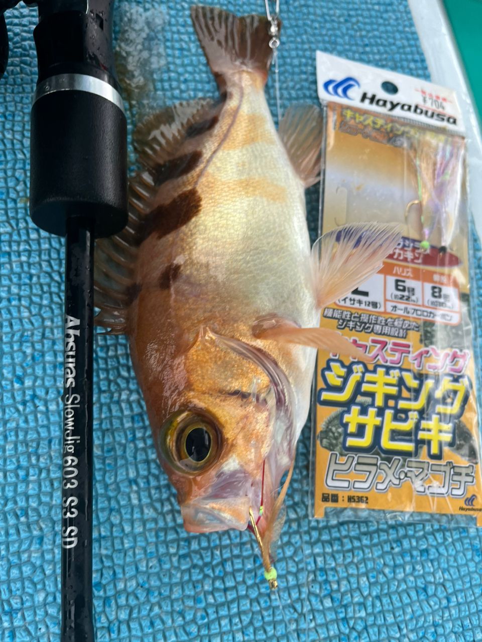 🎣juna🎣さんの釣果 1枚目の画像