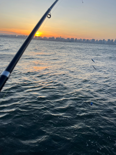 若洲海浜公園海釣り施設