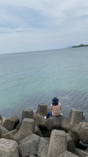 キスの釣果