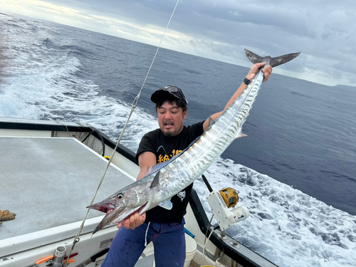 カマスサワラの釣果