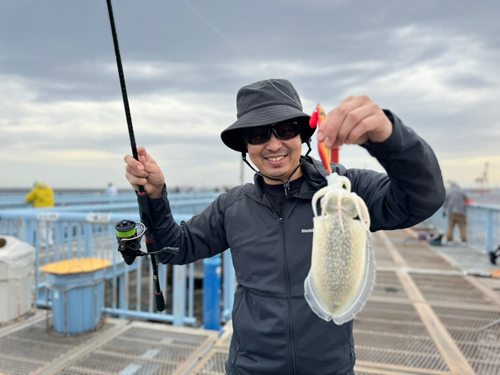 シリヤケイカの釣果